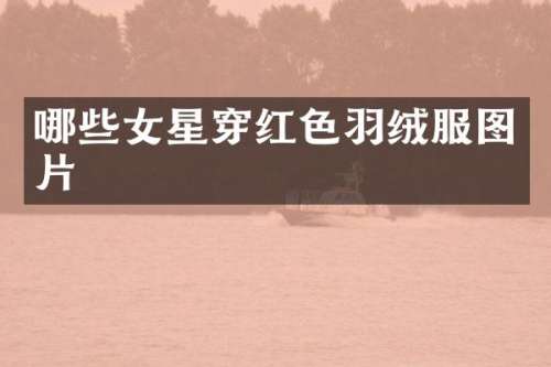哪些女星穿红色羽绒服图片