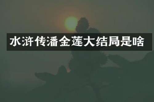 水浒传潘金莲大结局是啥