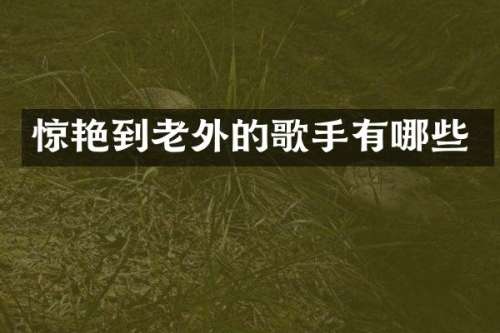 惊艳到老外的歌手有哪些