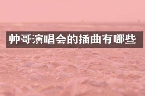 帅哥演唱会的插曲有哪些