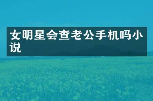 女明星会查老公手机吗小说