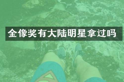 金像奖有大陆明星拿过吗