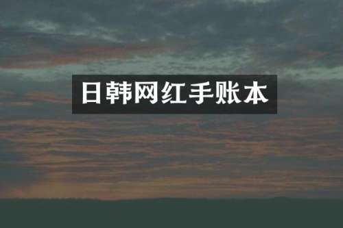 日韩网红手账本