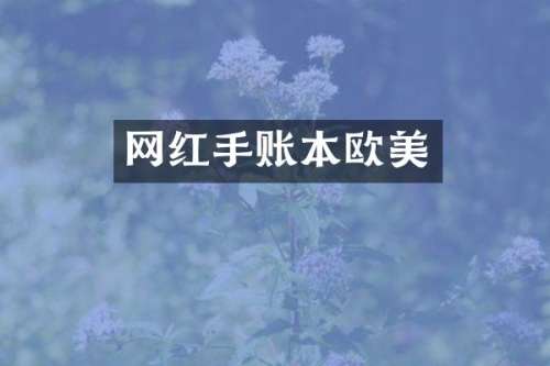 网红手账本欧美