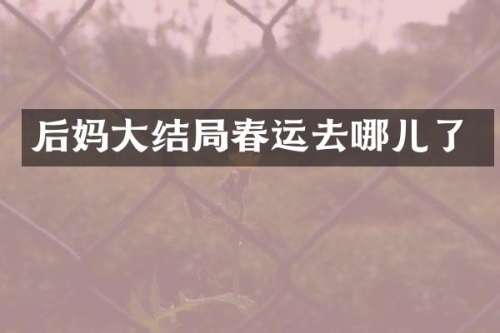 大结局春运去哪儿了
