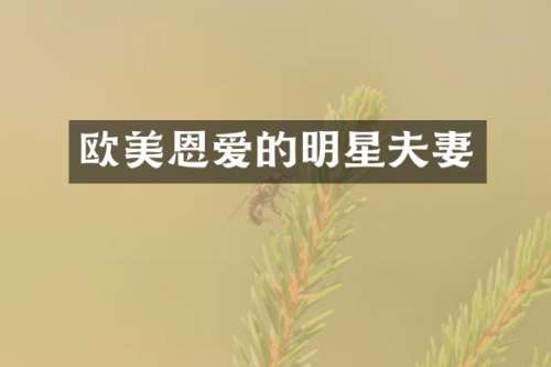 欧美恩爱的明星夫妻