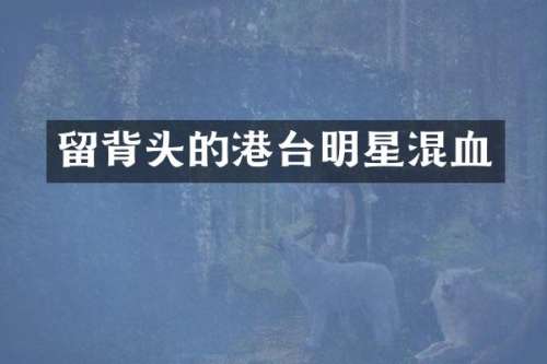 留背头的港台明星混血