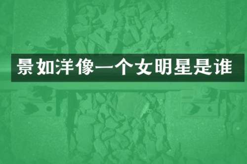 景如洋像一个女明星是谁