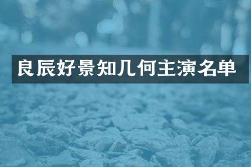 良辰好景知几何主演名单