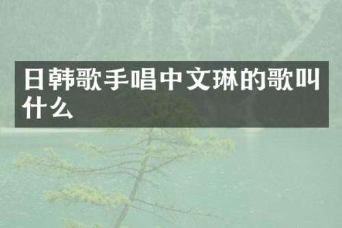 日韩歌手唱中文琳的歌叫什么