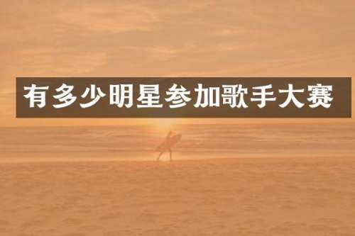 有多少明星参加歌手大赛