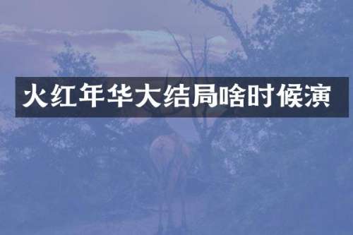 火红年华大结局啥时候演