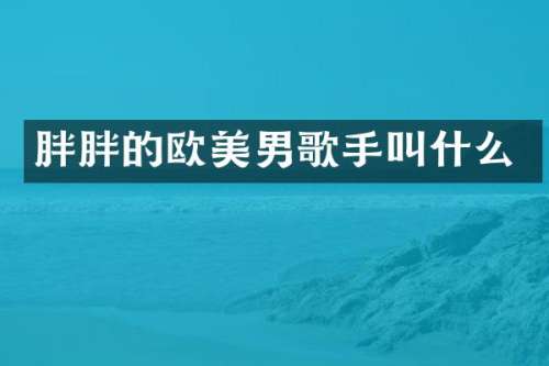 胖胖的欧美男歌手叫什么