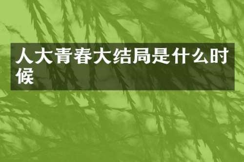 人大青春大结局是什么时候