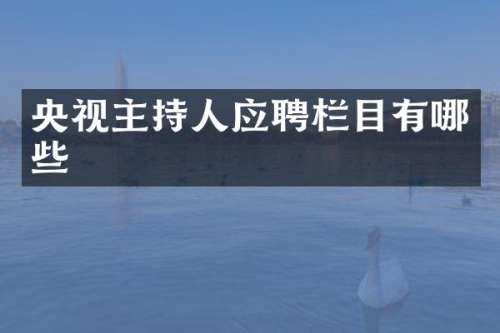 央视主持人应聘栏目有哪些