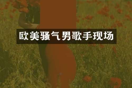 欧美气男歌手现场