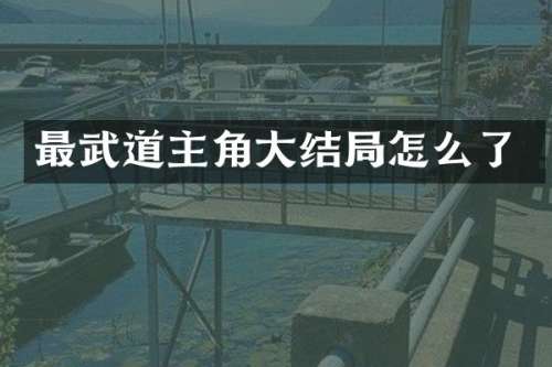最武道主角大结局怎么了