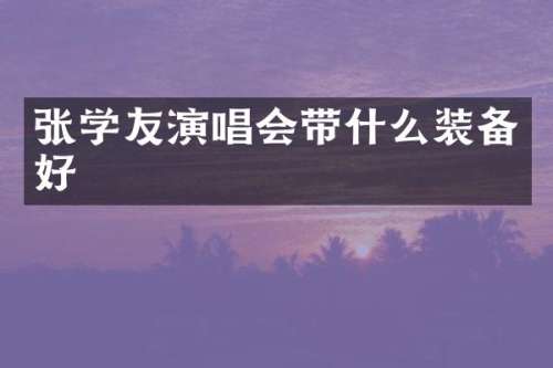 张学友演唱会带什么装备好
