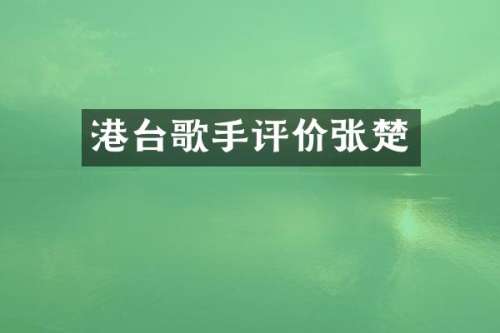 港台歌手评价张楚