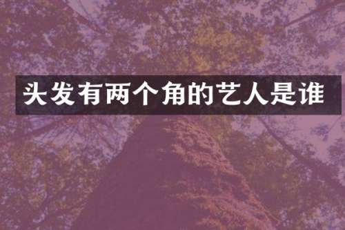 头发有两个角的艺人是谁