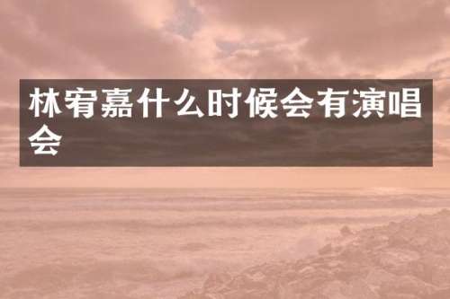 林宥嘉什么时候会有演唱会