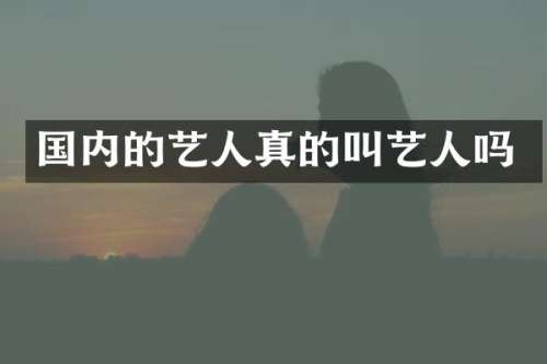 国内的艺人真的叫艺人吗