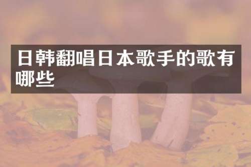 日韩翻唱日本歌手的歌有哪些