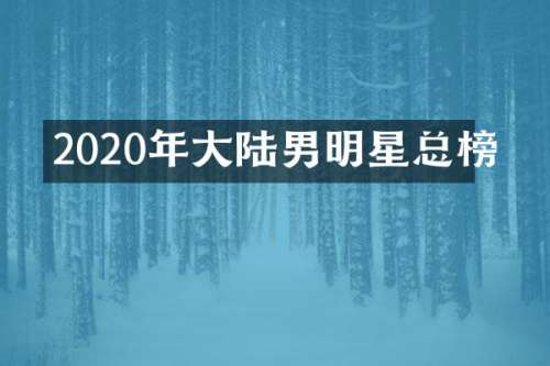 2020年大陆男明星总榜