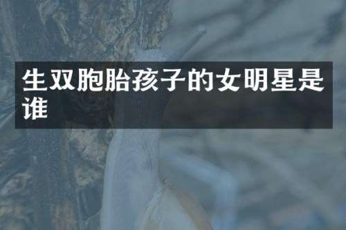 生双胞胎孩子的女明星是谁