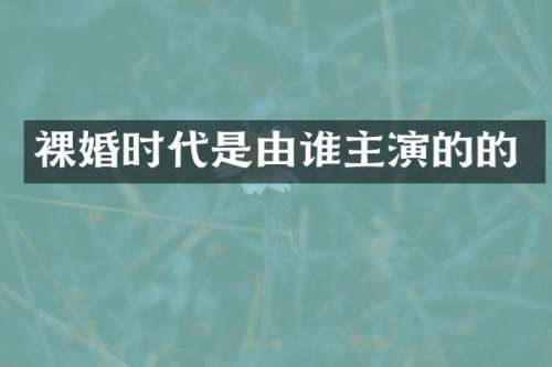裸婚时代是由谁主演的的