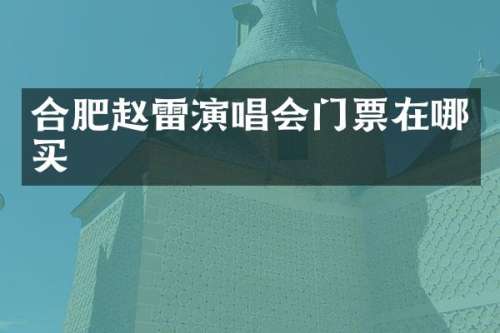 合肥赵雷演唱会门票在哪买