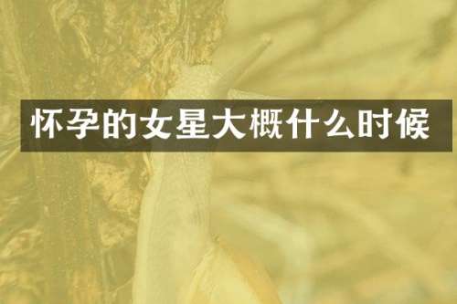 怀孕的女星大概什么时候