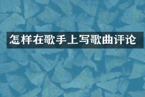 怎样在歌手上写歌曲评论