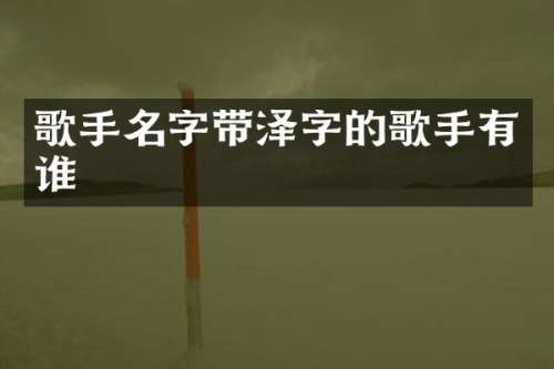 歌手名字带泽字的歌手有谁