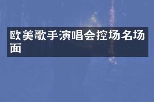 欧美歌手演唱会控场名场面