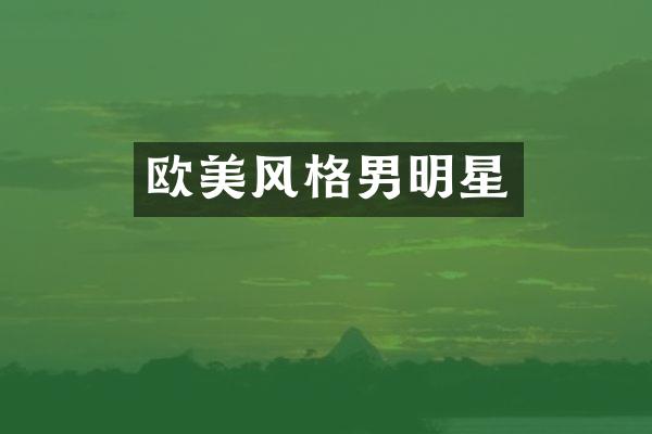 欧美风格男明星