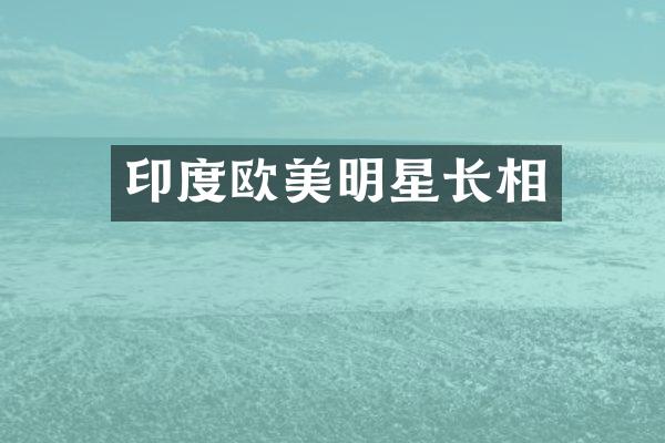 印度欧美明星长相