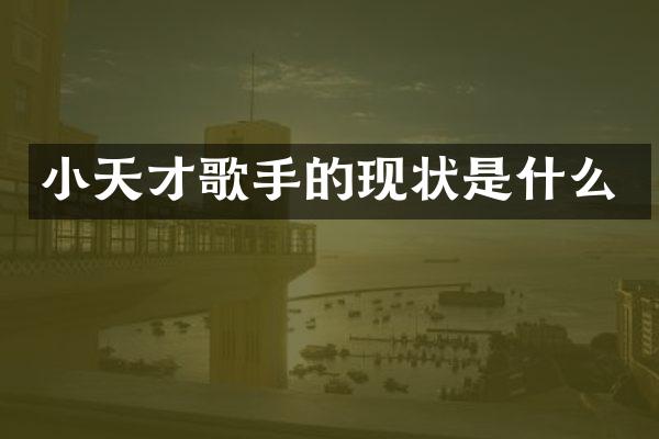 小天才歌手的现状是什么