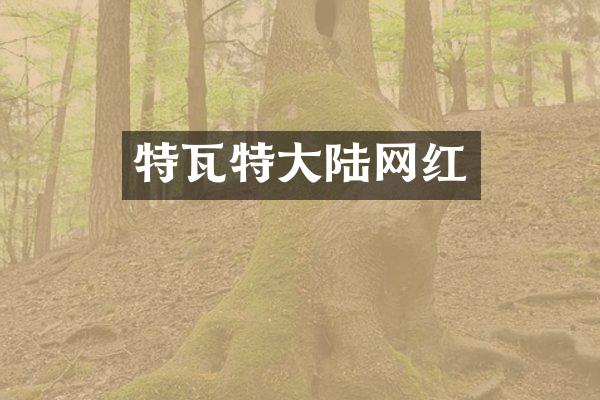 特瓦特大陆网红