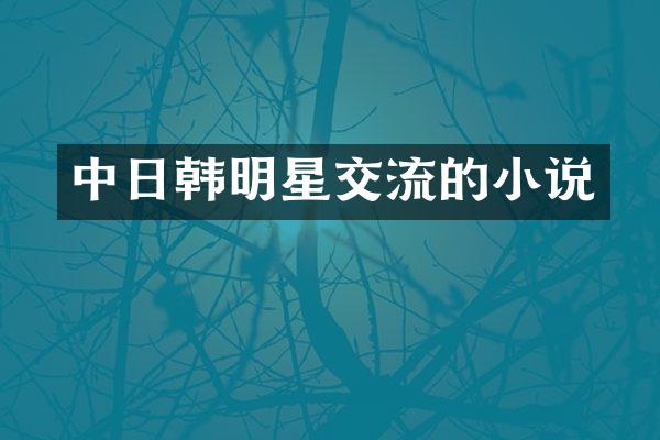 中日韩明星交流的小说