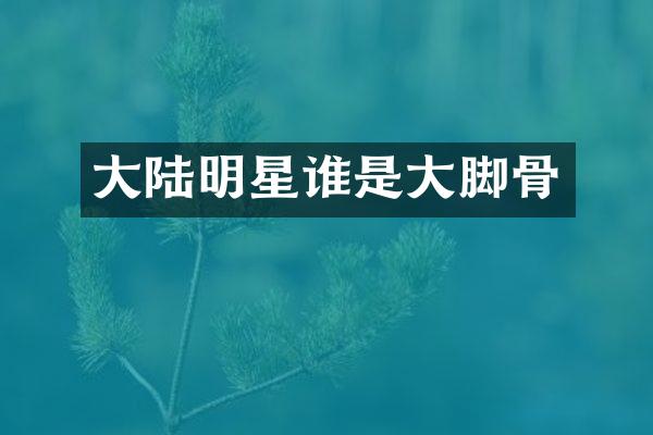 大陆明星谁是大脚骨
