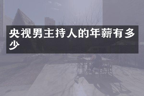 央视男主持人的年薪有多少