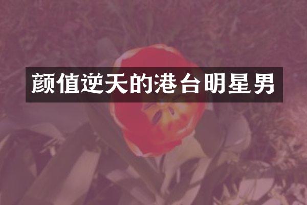 颜值逆天的港台明星男