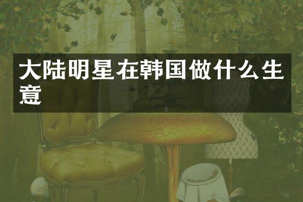 大陆明星在韩国做什么生意