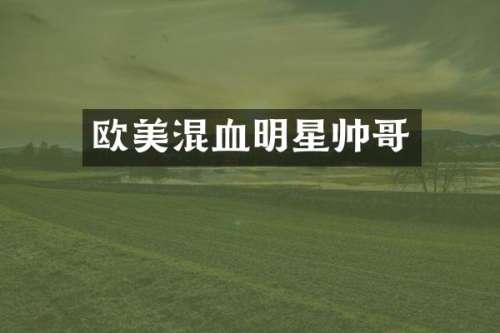 欧美混血明星帅哥