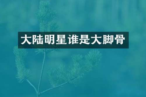 大陆明星谁是大脚骨