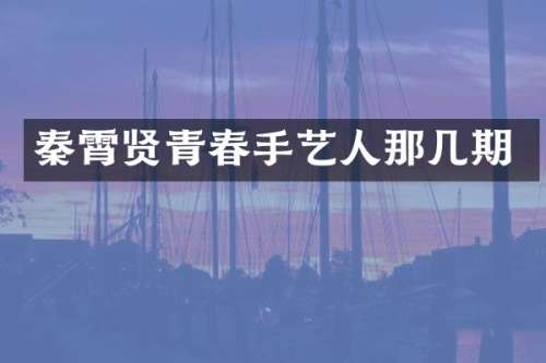 秦霄贤青春手艺人那几期