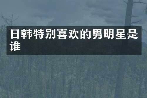 日韩特别喜欢的男明星是谁