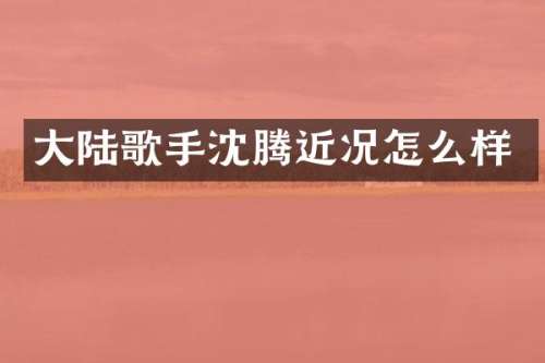 大陆歌手沈腾近况怎么样