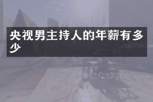 央视男主持人的年薪有多少